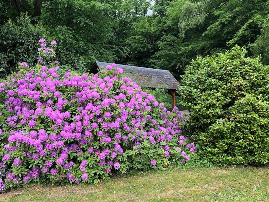 "La Homerie" Chaumiere En Pleine Nature Savigny-en-Sancerre Exteriér fotografie