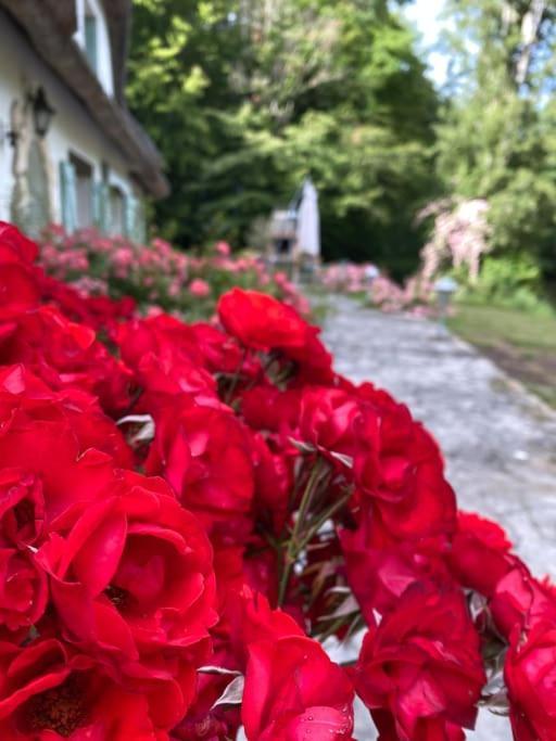"La Homerie" Chaumiere En Pleine Nature Savigny-en-Sancerre Exteriér fotografie